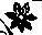 seven petalled flower enlarged