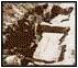 Abydos B7/9 (Ka)