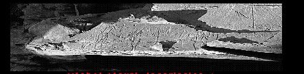 Djebel Tjawty grafitto of King Scorpion
(J.C. Darnell - D. Darnell, 1995-96
Annual report in the Abzu
Chicago Oriental Institute page)