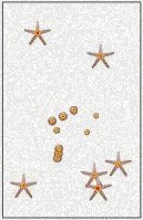 Orion Asterism