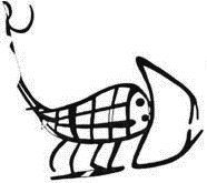 Scorpion I: ink inscriptions on jars
and jar fragments from Abydos tomb U-j